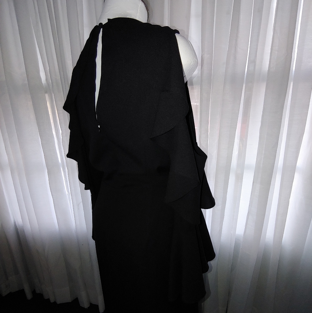 Lucy Paris dress.  SIZE L - Picture 5 of 7